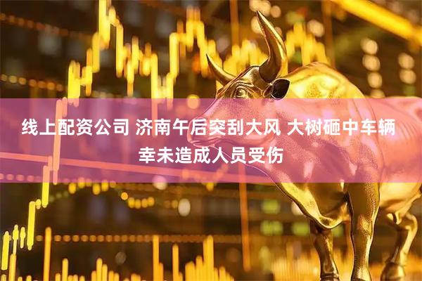 线上配资公司 济南午后突刮大风 大树砸中车辆 幸未造成人员受伤