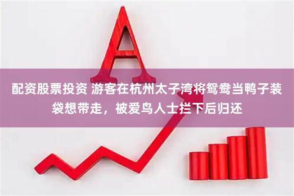 配资股票投资 游客在杭州太子湾将鸳鸯当鸭子装袋想带走，被爱鸟人士拦下后归还