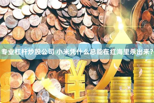 专业杠杆炒股公司 小米凭什么总能在红海里杀出来?